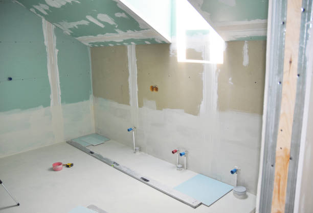 Professional Mold Removal in Carrollton, MO