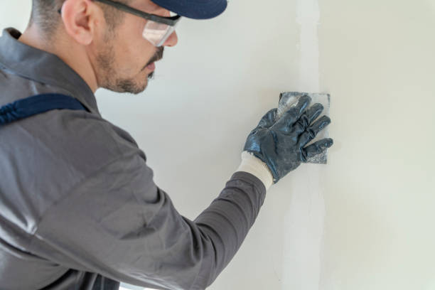 Best Mold Damage Restoration  in Carrollton, MO