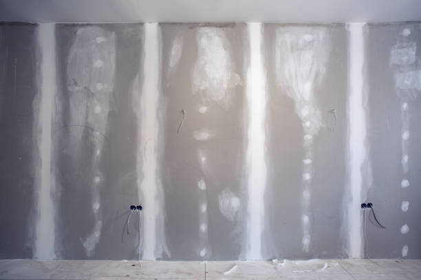 Best Commercial Mold Inspection  in Carrollton, MO